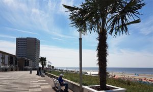 Appartement in Zandvoort